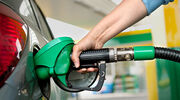 Argentina biodiesel exports fully halted due to COVID-19