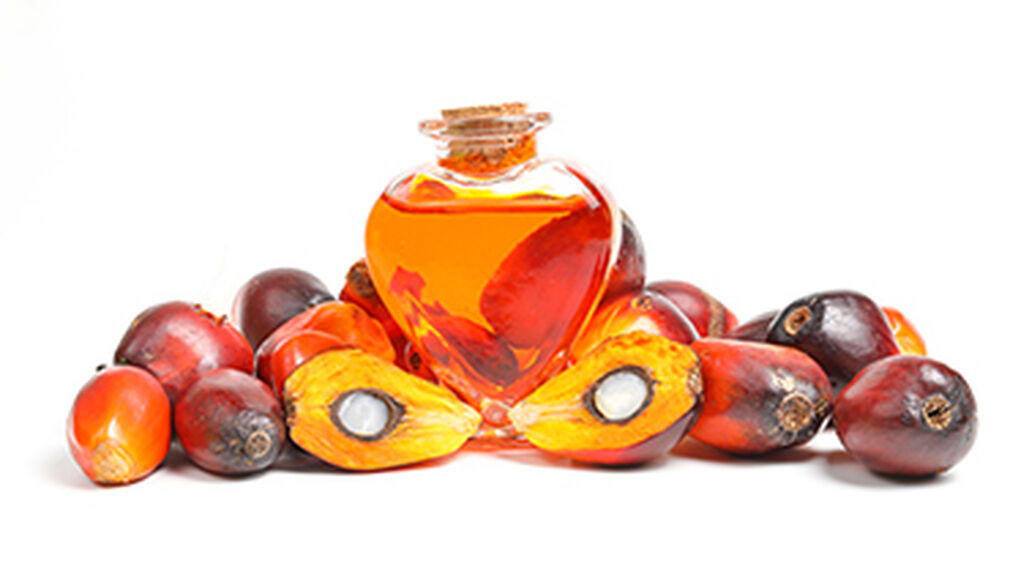 FGV warns its palm oil output will drop due to COVID-19 control order