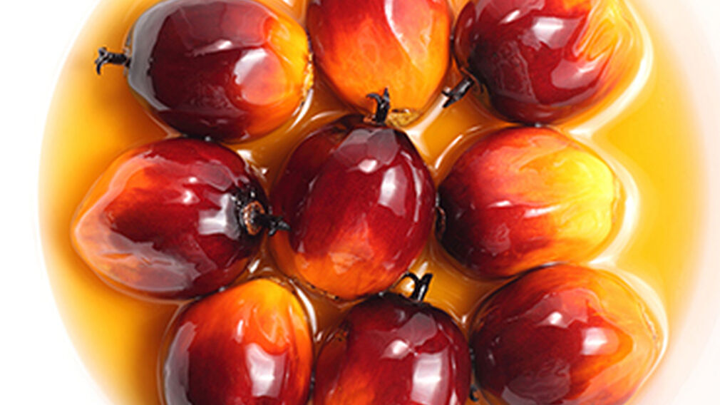 Palm oil market to miss out on traditionally high Ramadan demand period