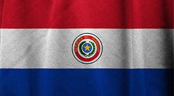 Low river level hits Paraguay’s soyabean exports