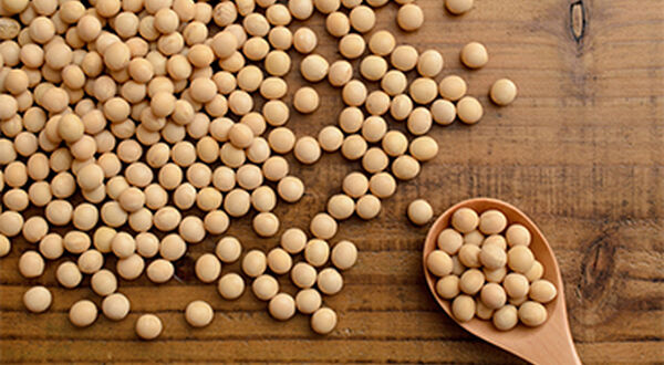 Soyabean imports at 7-year low in China while crush down 6%