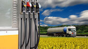 EU FAME biodiesel producers will be hardest hit by COVID-19