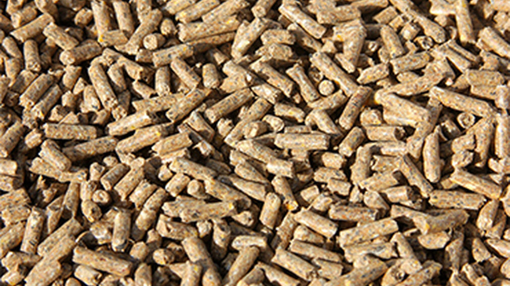 FEFAC urges EU action on food and feed supply due to coronavirus