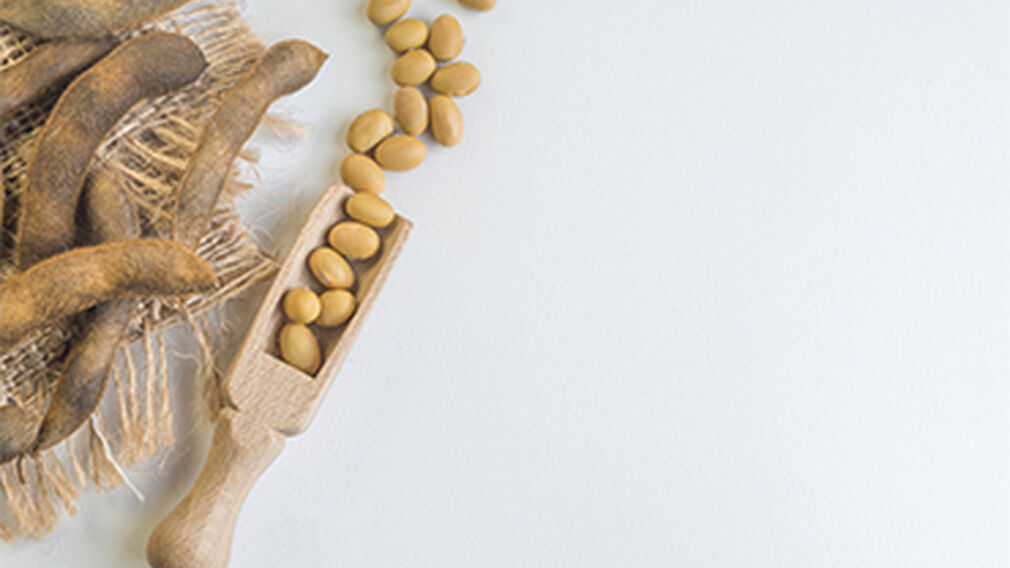 China sees soyabean imports rise following phase one trade truce with USA