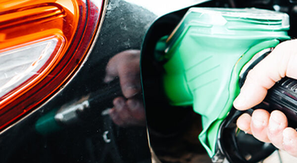 Darling enters joint venture lease agreement with IMTT