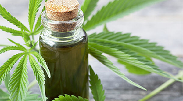Syngenta adds hemp to lobbying efforts