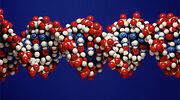 US institute wins Japan gene editing patent case