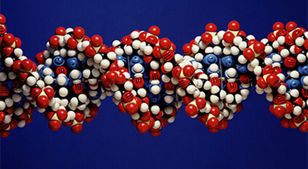 US institute wins Japan gene editing patent case