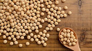 Bunge offers to buy two Brazilian soya processing plants