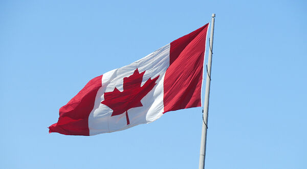 Canada imports record volume of soyabean oil for renewable diesel production