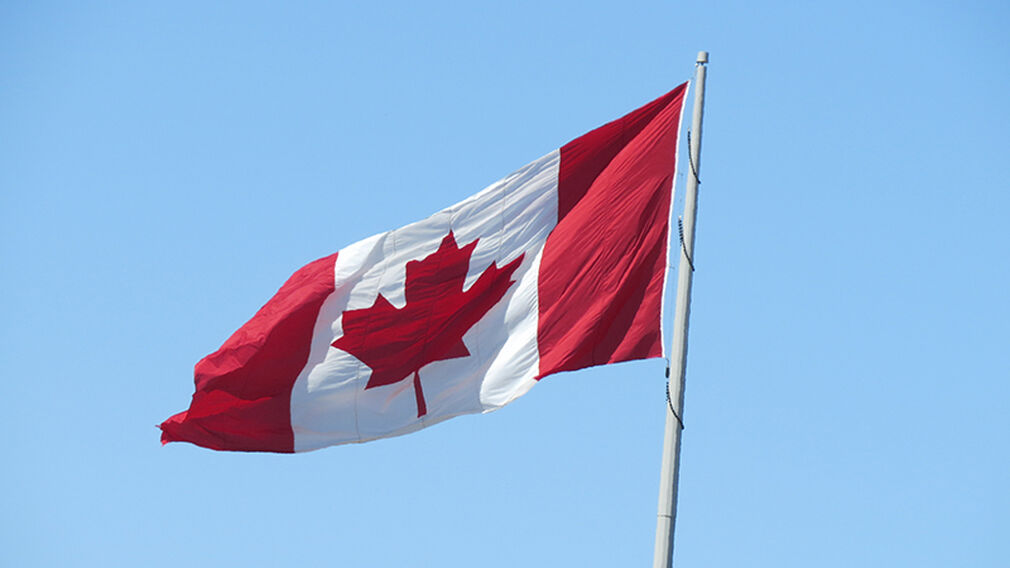 Canada imported a record volume of soyabean oil in 2025/26. Image source: Pixabay