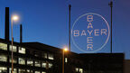 Bayer plans to fast-track biofuel feedstock production in North America