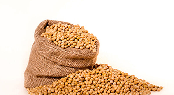 Sinograin soyabean purchases signal US-China trade deal is struggling