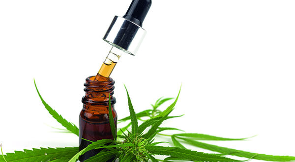 Cannabidiol oil
