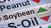 Commodity trading