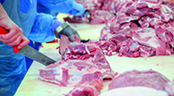 Darling Ingredients set to acquire Brazilian rendering company FASA Group