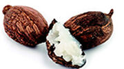 Shea butter