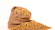 China buys soyabeans after halt to US purchases ordered