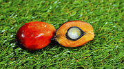 Sime Darby Plantation Berhad sells interest in Verdant Bioscience
