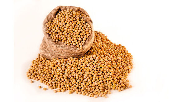 Paraguay soyabean sales to Brazil rise as low water levels affect other export routes