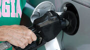 Indonesia allocates US$195M subsidy to palm biodiesel producers