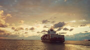 Report says maritime industry must follow aviation’s lead on switch to biofuels