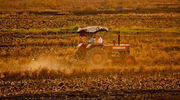 UN report claims most agricultural spending does more harm than good