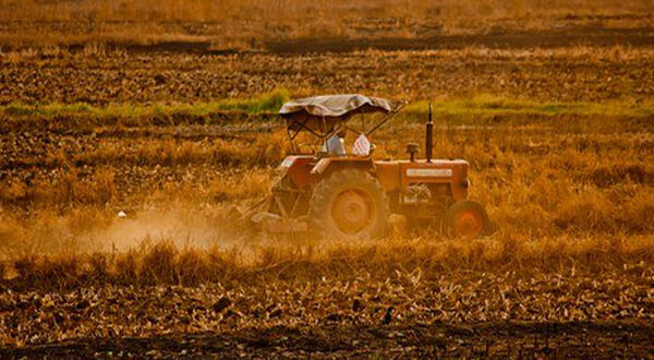 Bayer launches carbon capture project for farmers in the USA and Brazil
