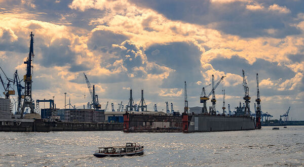 China port shuts as more soyabean cargo crews test positive for COVID-19