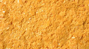 L’Oréal develops waterless sunscreen using carnauba wax