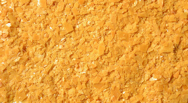 L’Oréal develops waterless sunscreen using carnauba wax