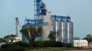 Glencore Agriculture to rebrand as Viterra