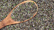 New West Genetics launches new hemp seed for row crop farmers