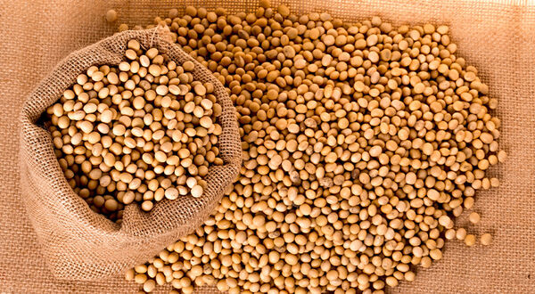 Bunge and Blendtek Ingredients sign plant protein distribution agreement in North America