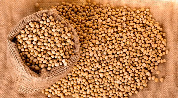 CGB starts work on expansion of soyabean processing facility at Ports of Indiana-Mount Vernon