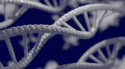 Nobel prize in chemistry awarded to CRISPR gene editing scientists