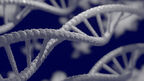 EU expected to approve gene-edited crops