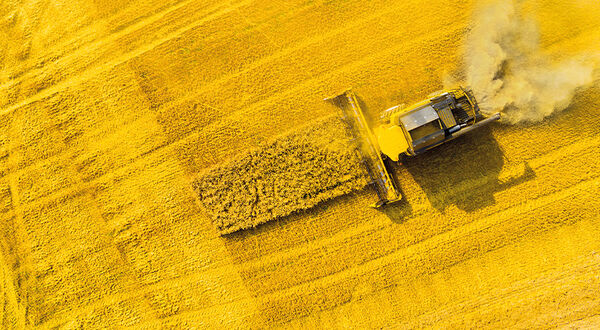 China puts duties on Canadian canola