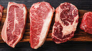 Italy bans lab grown meat