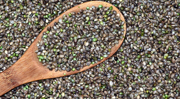 Companies team up to offer blockchain for US hemp industry