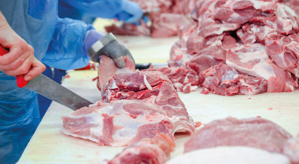 Darling Ingredients to buy waste from new Iowa beef slaughterhouse