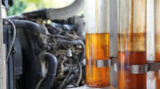 Palm biodiesel exports forecast to remain low