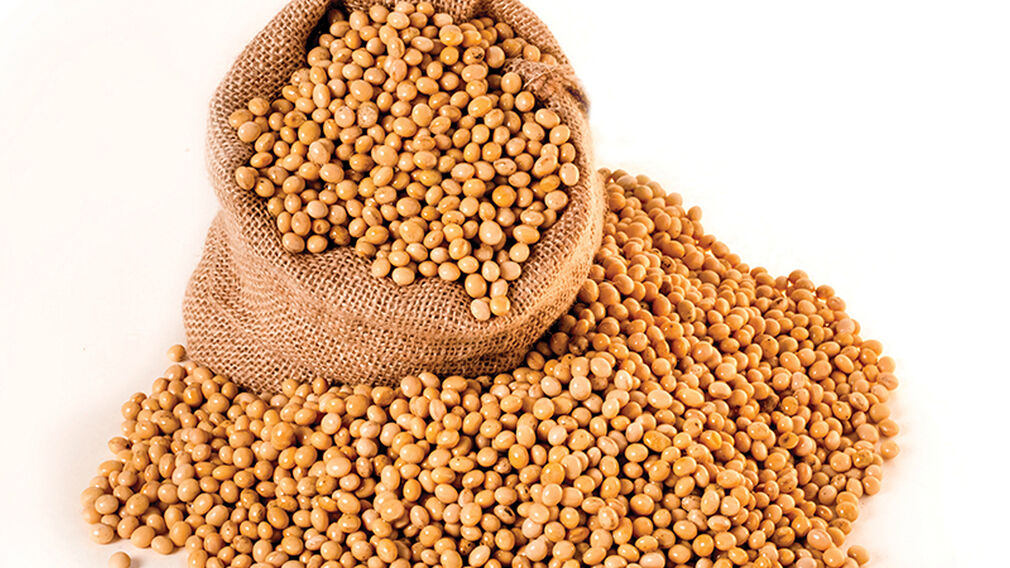 Argentine soyabean production to fall