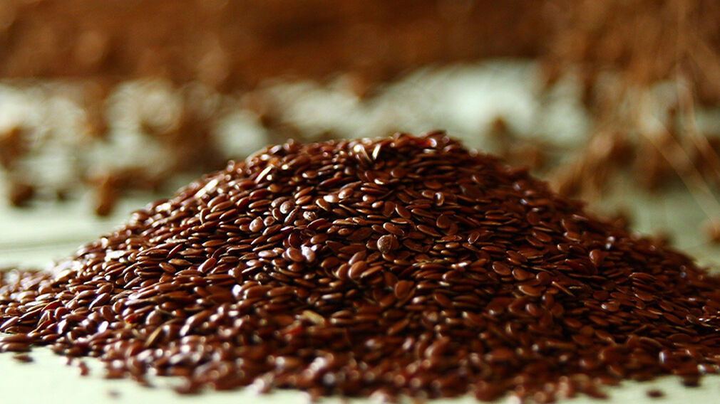 Research projects have highlighted the benefits of adding flaxseed and oil to pet food. Image source: Pixabay