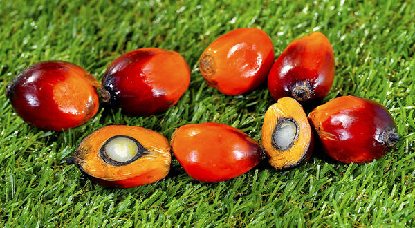 BASF sources all palm kernel oil from RSPO