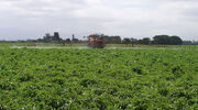 BASF plans launch of new insecticide in Asia Pacific by 2023 and in EU by 2026