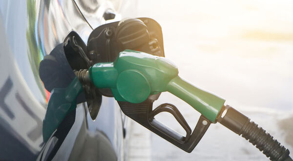 EU imports of biodiesel set to rise by more than 14% this year