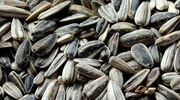 Lower domestic crushing and prices lead to record Ukrainian sunflowerseed exports