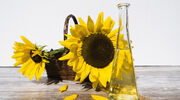 Ukraine looks at sunflower oil price regulation package to limit inflation