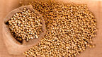 Indonesian soyabean consumption forecast to increase in 2024/25 due to food sector demand
